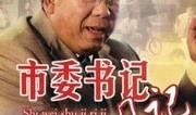 市委书记日记在线观看,揭秘政坛风云与为民情怀